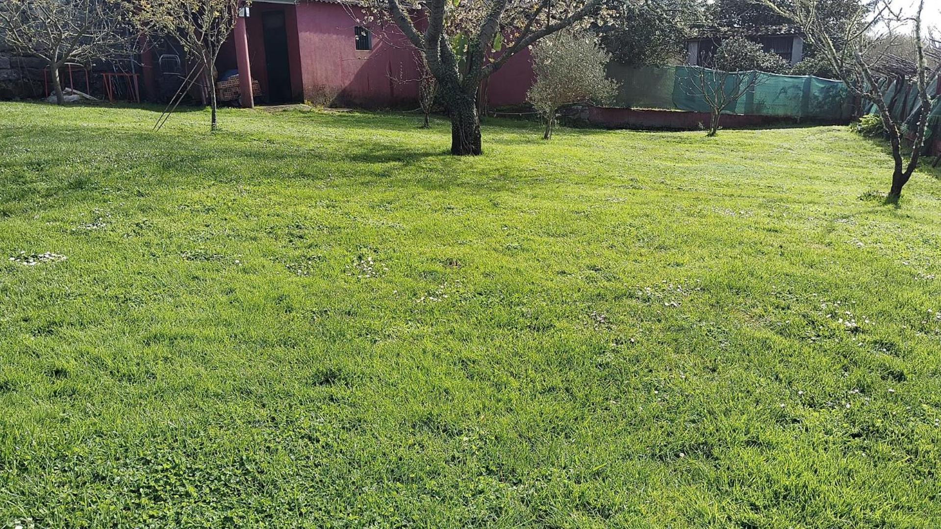 Alojamiento Entero Con Piscina Y Jardin. Ourense Exterior foto
